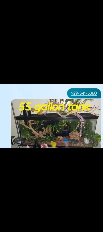 use good condition 929-541-5360 thumbnail