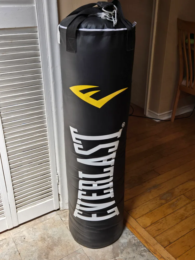Everlast Punching Bag. (Brand New!!) image indicator(2)