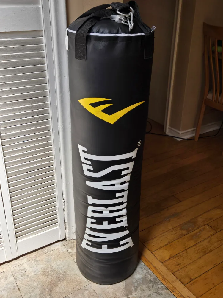 Everlast Punching Bag. (Brand New!!) image indicator(3)