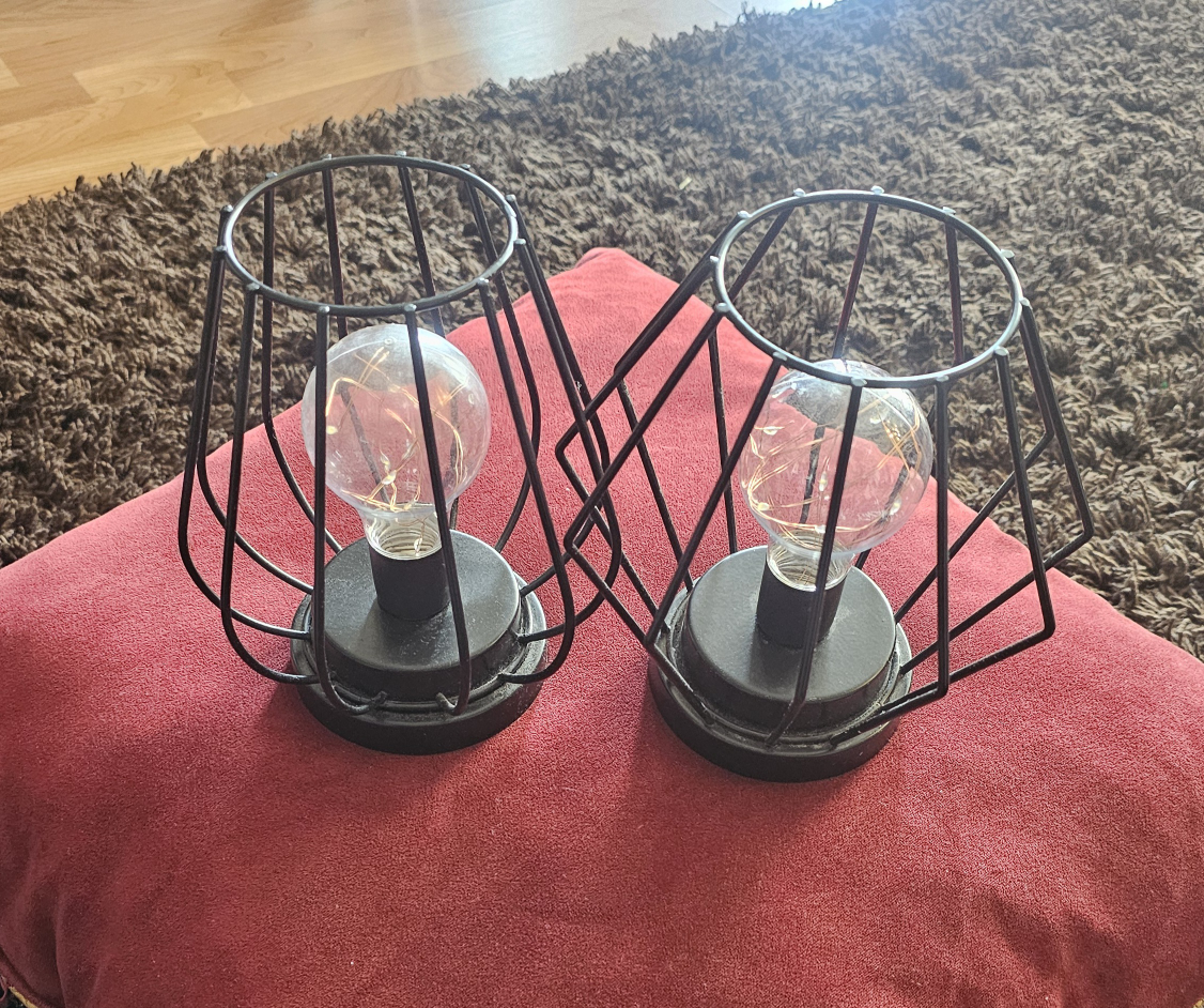 🥕Set of 2 Black Metal Cage Table Lamps