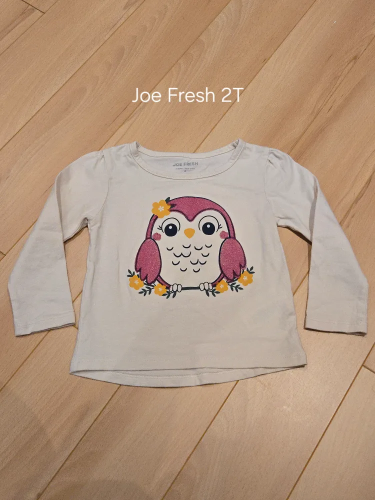 Joe Fresh Toddler Girl's Owl Shirt - Size 2T thumbnail