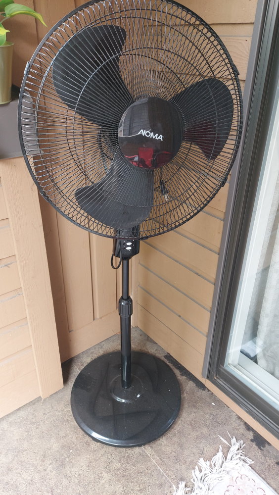 NOMA Black Standing Fan-free