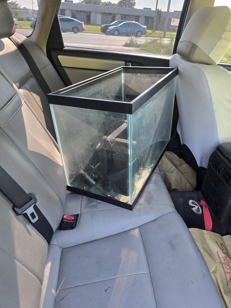 Glass Fish Tank