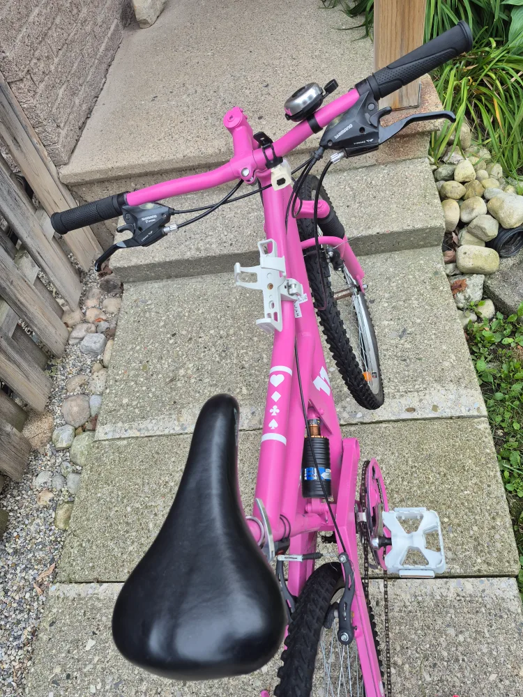 Pink Mountain Bike image indicator(2)
