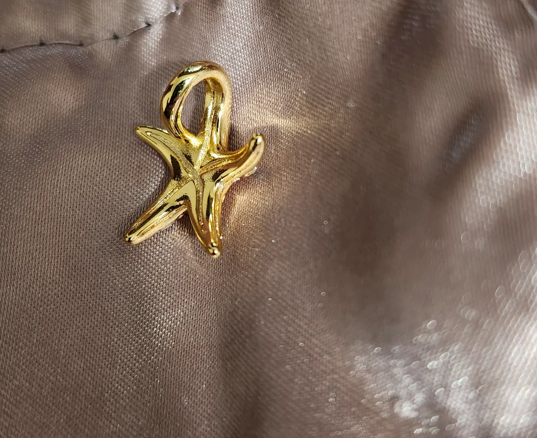 Gold Starfish charm image indicator(4)