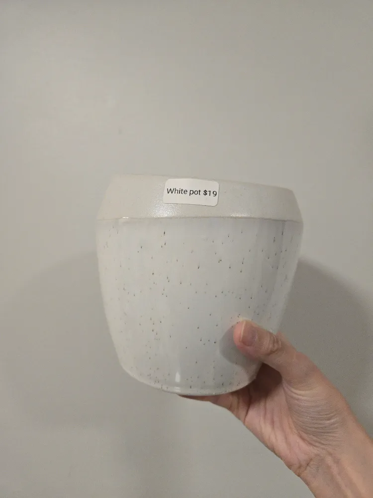 Premium White Ceramic Pot thumbnail