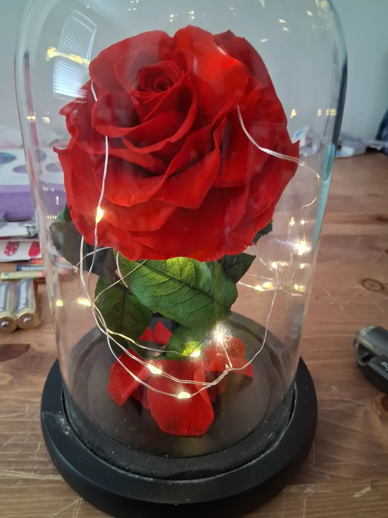 Red Rose in Glass Dome with LED Lights