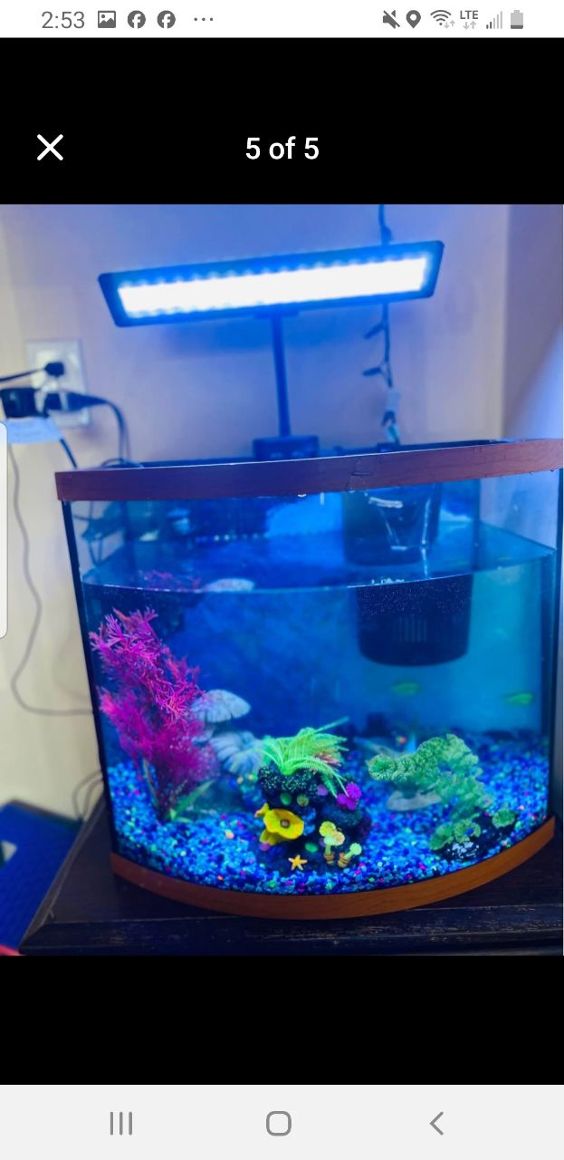 18 Gallons Aquarium - photo 2