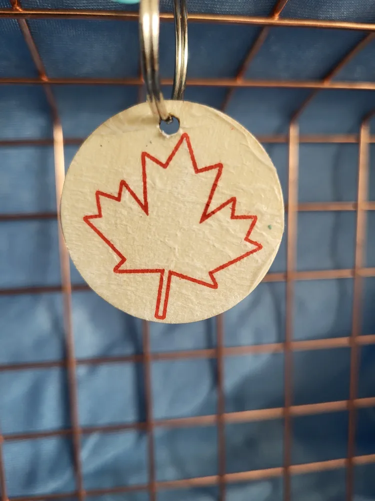 Wood Keychains 6 image indicator(5)