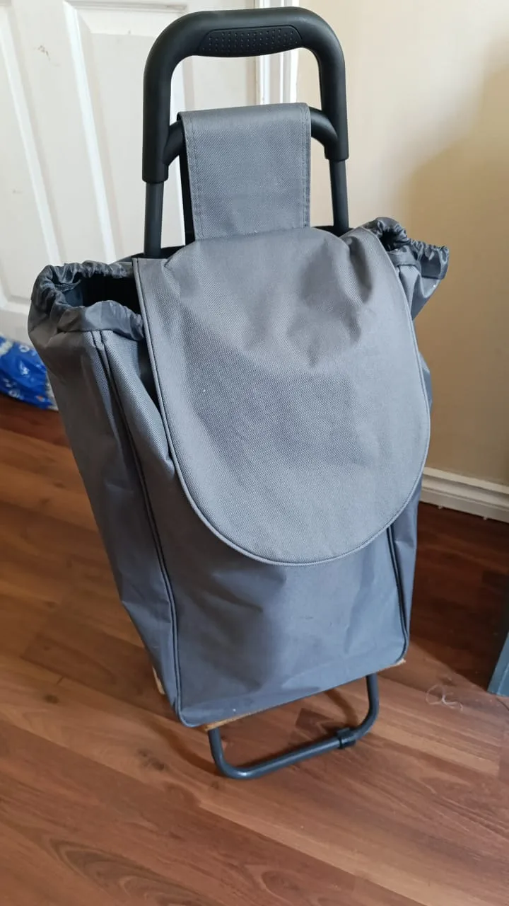Grey Rolling Shopping Cart thumbnail