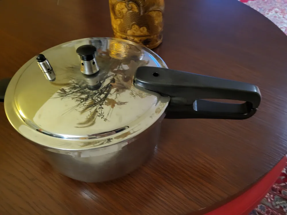 Stainless Steel Pressure Cooker thumbnail