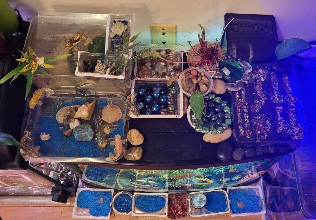 17 Gallons Aquarium - photo 5