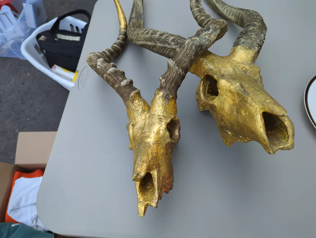 Decorative Faux Antelope Skulls - Gold leaf thumbnail