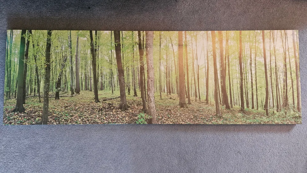 forest green scenery painting thumbnail