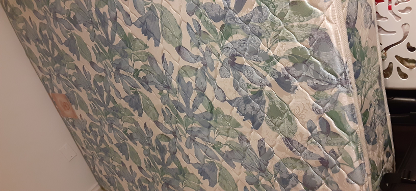 Spring World Chiro Slumber Mattress - photo 3