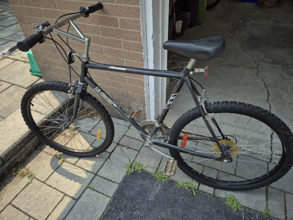 Mountain Bike