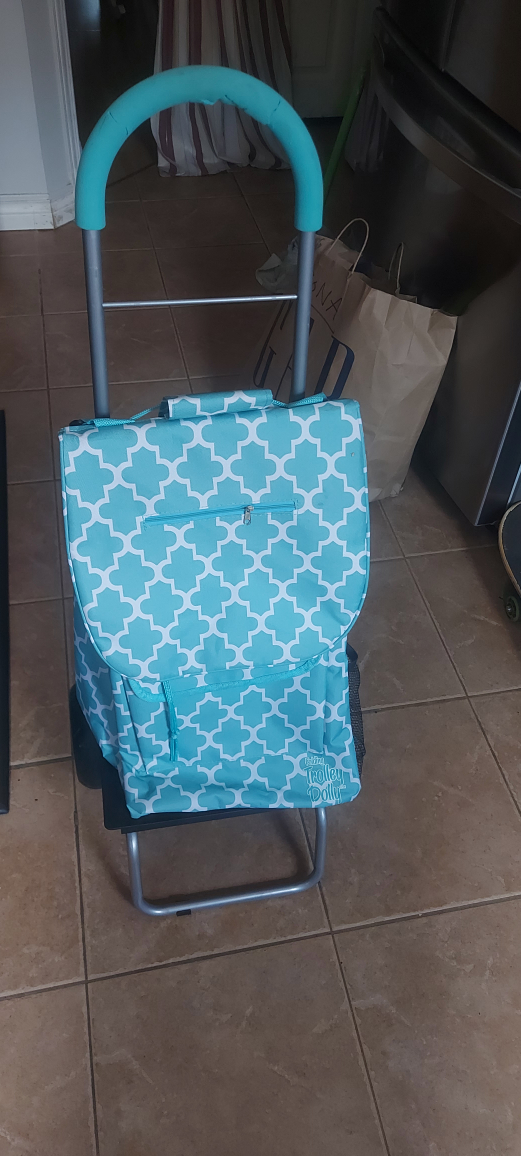 Folding Trolley Dolly - Aqua Pattern (Cash only)