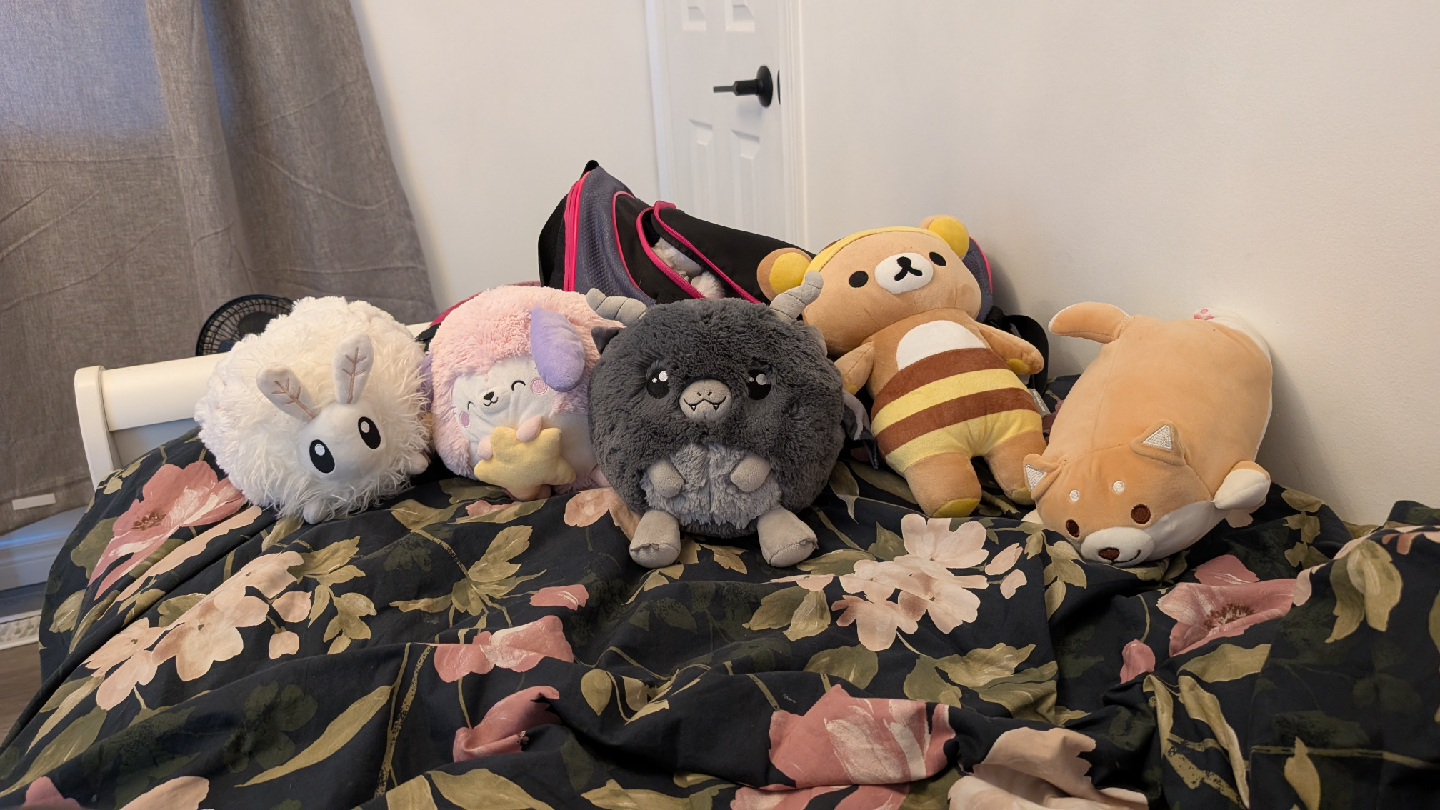 Assorted Plush Toys