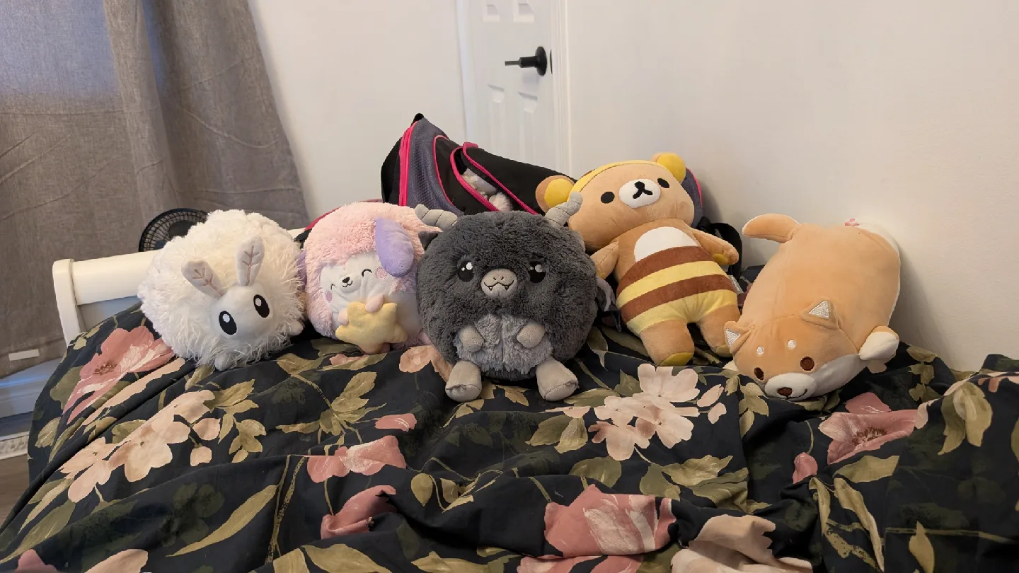 Assorted Plush Toys thumbnail