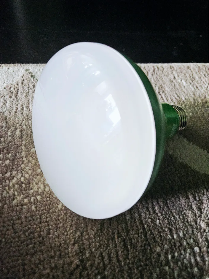 Green Grow Light Bulb thumbnail