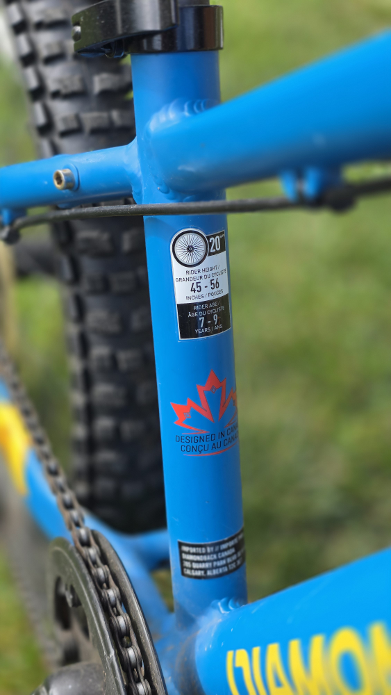 Diamondback Maya 20" Kids Bike - photo 4