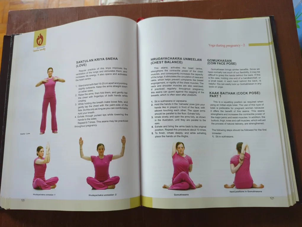 Ayurvedic Garbha Sanskar by Dr. Shri Balaji Tambe image indicator(6)