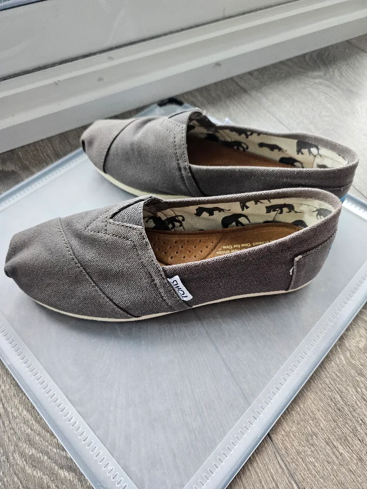 TOMS Grey Canvas Slip-On Shoes 6.5 image indicator(3)