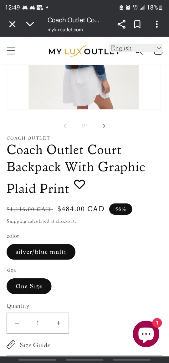 Coach Outlet Court Backpack - Silver/Blue Multi image indicator(3)