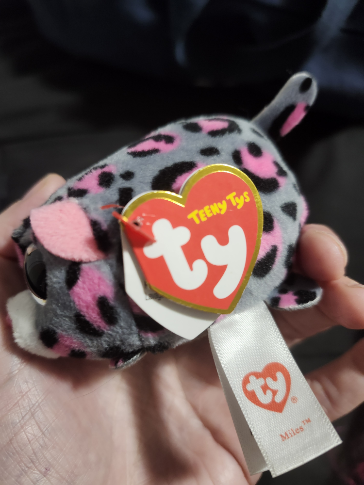 $5 teenie tys - Miles - photo 3