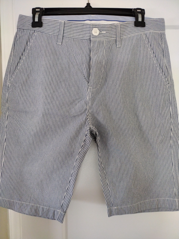 Striped Men's Shorts