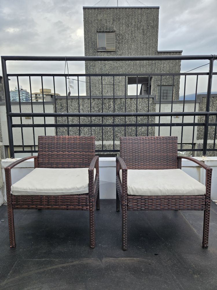 Pair Of Patio Chairs Arm Chairs With Cushions (Price Per Chair)