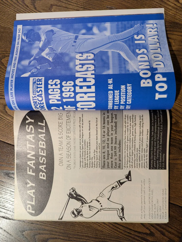 The Sports Baseball Forecaster '96 image indicator(6)