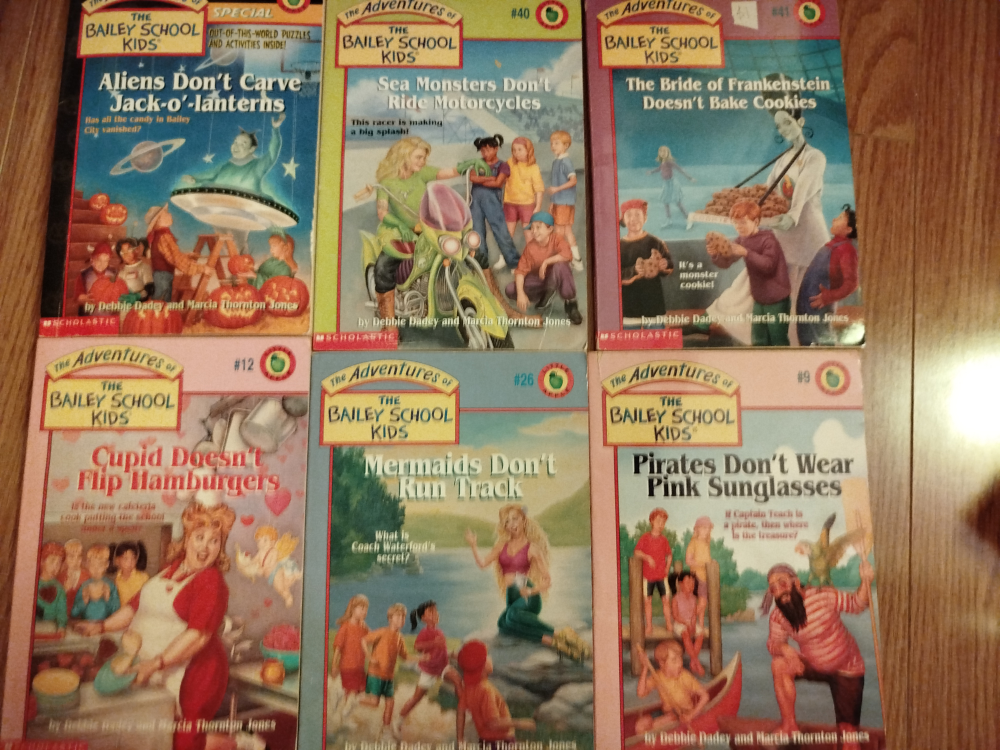 The Adventures of the Bailey School Kids Book Lot