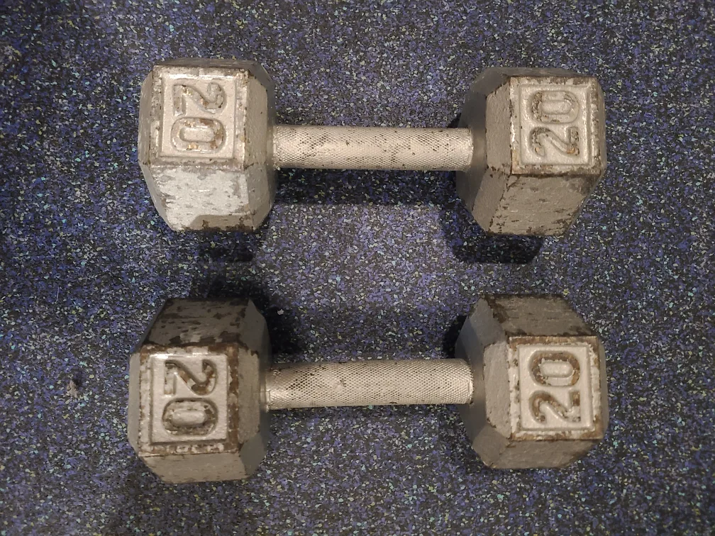 Pair of 20 lb Dumbbells thumbnail