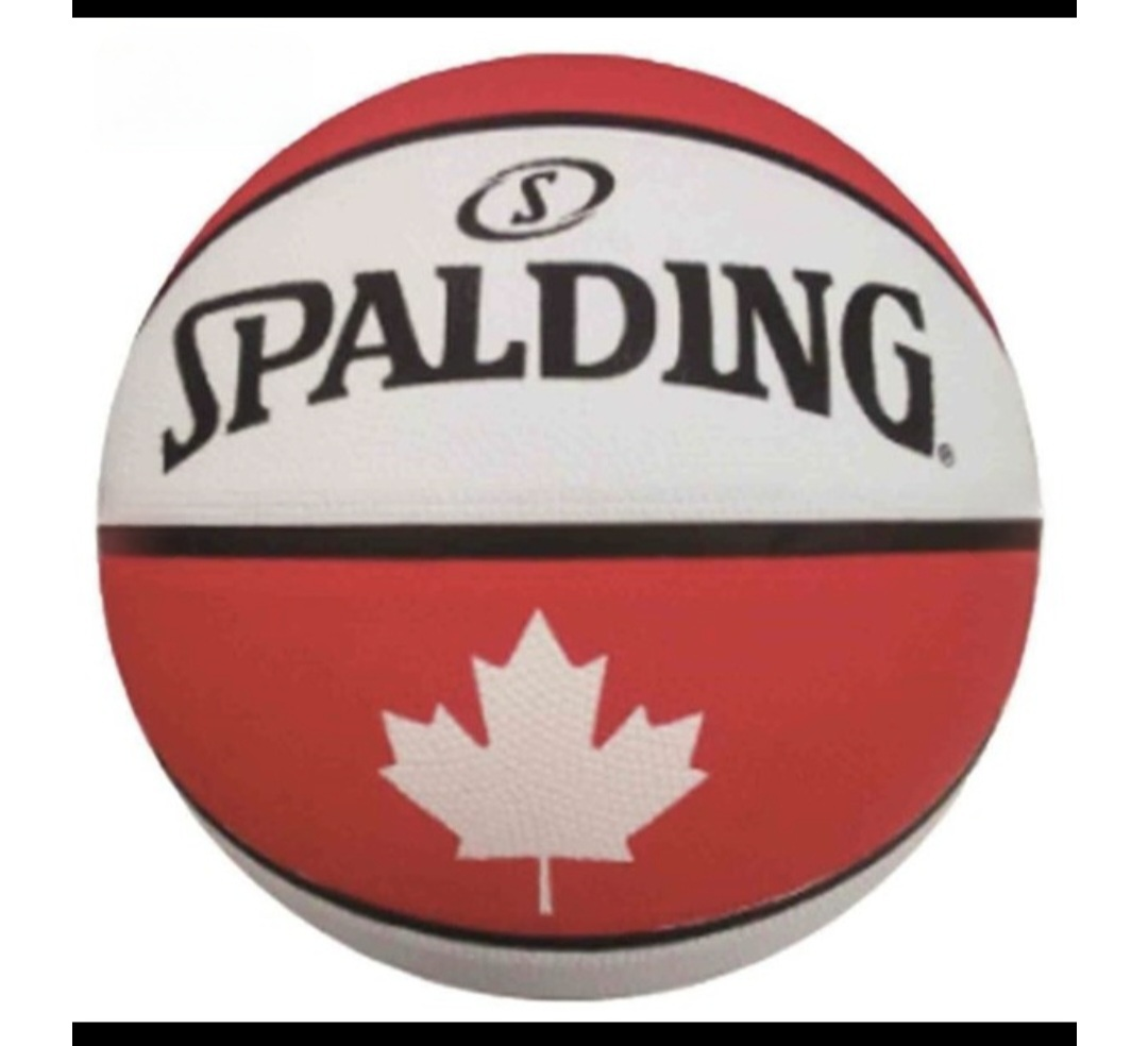 New Spalding Official Toronto Raptors Red & White Basketball