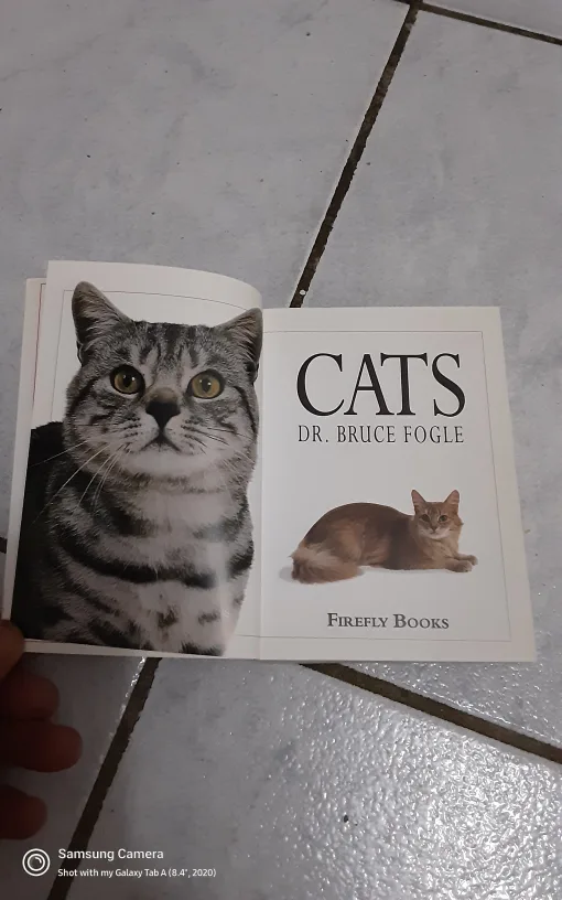 Cats by Bruce Fogle DVM image indicator(3)