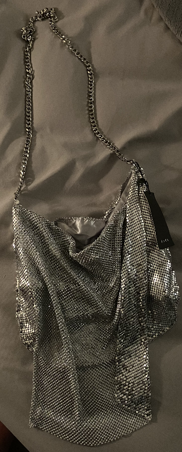 Zara Silver Metal Mesh Chain Bag