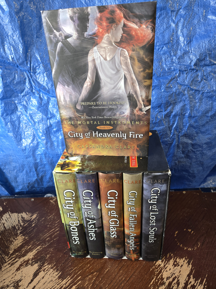 The Mortal Instruments Series by Cassandra Clare