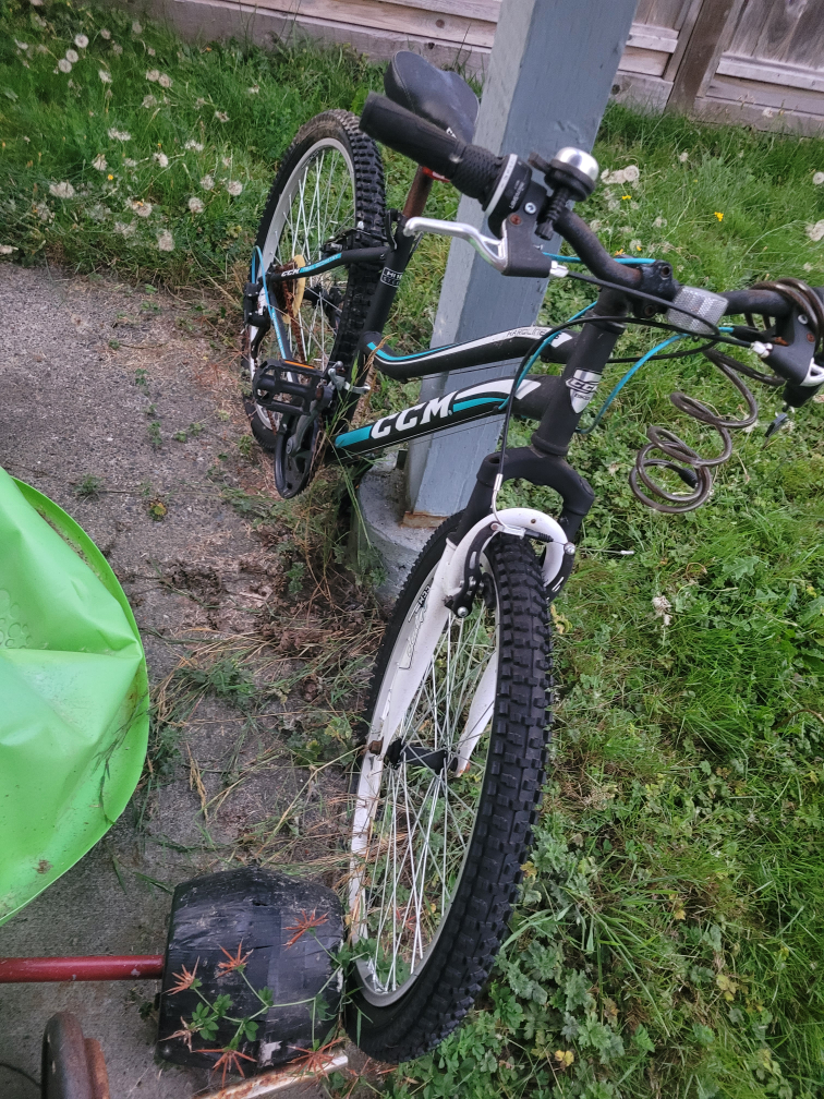 CCM Haro Flightline 24 Bike