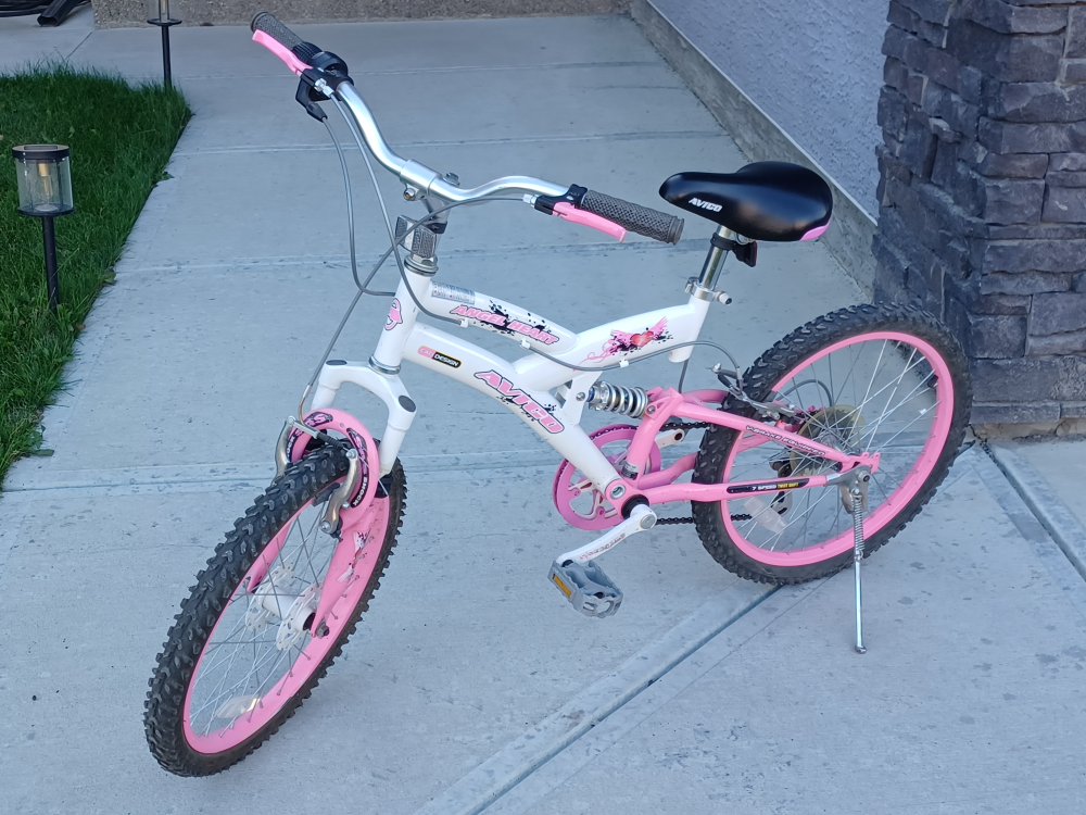 Avigo 20-inch Girls' Mountain Bike - White & Pink