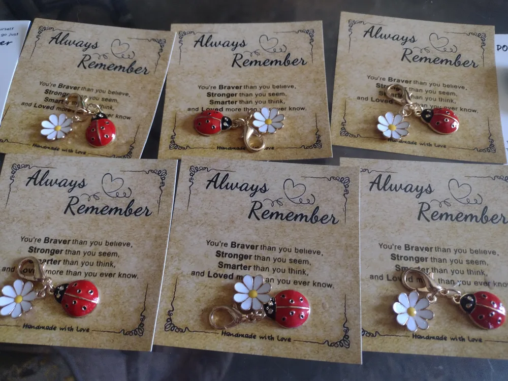 Handmade Pocket Hug Charms - Ladybug, Daisy, Flowers image indicator(2)