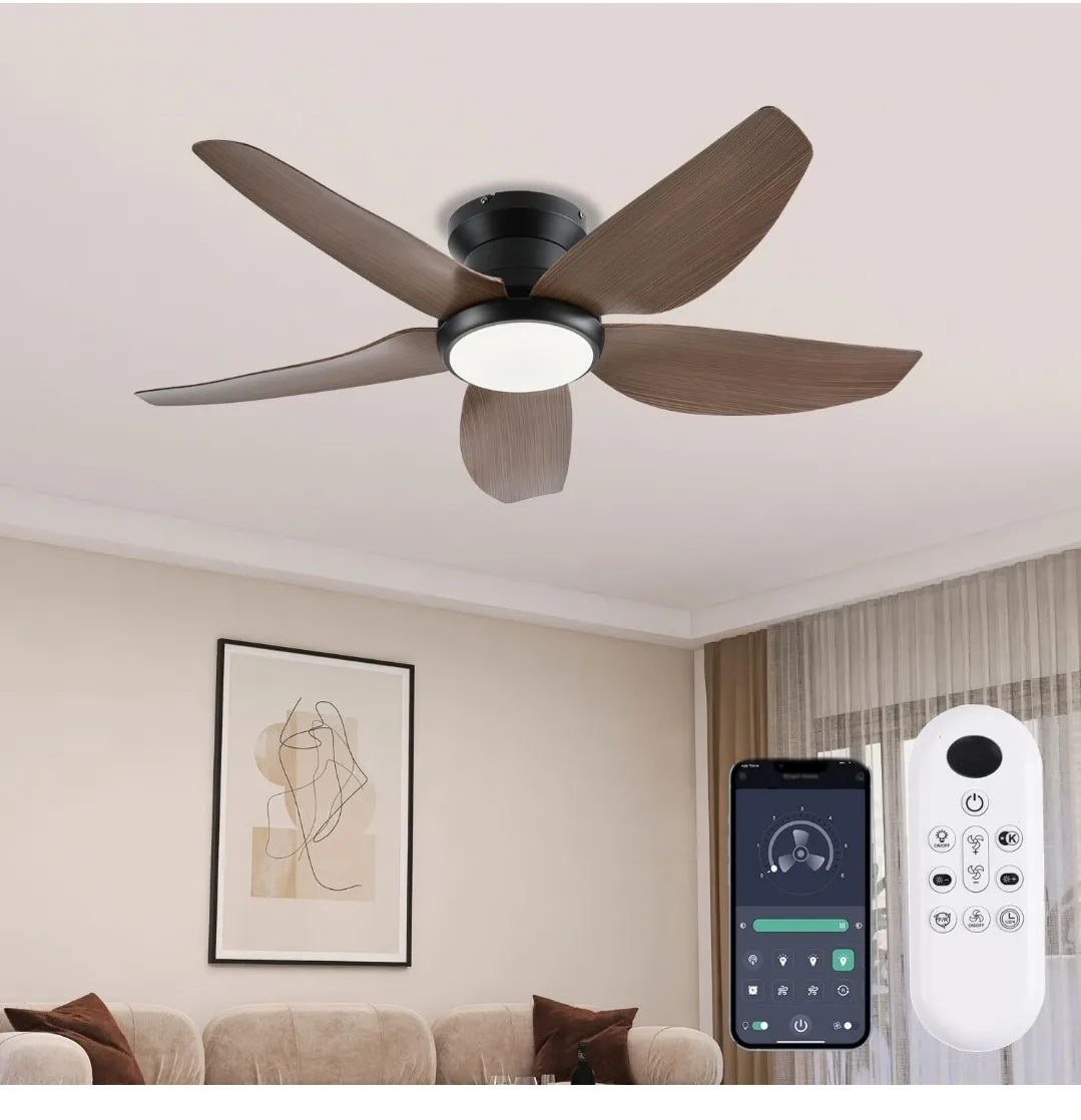 Remote Control Ceiling Fan thumbnail