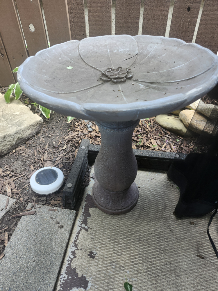 Like New Bird Bath