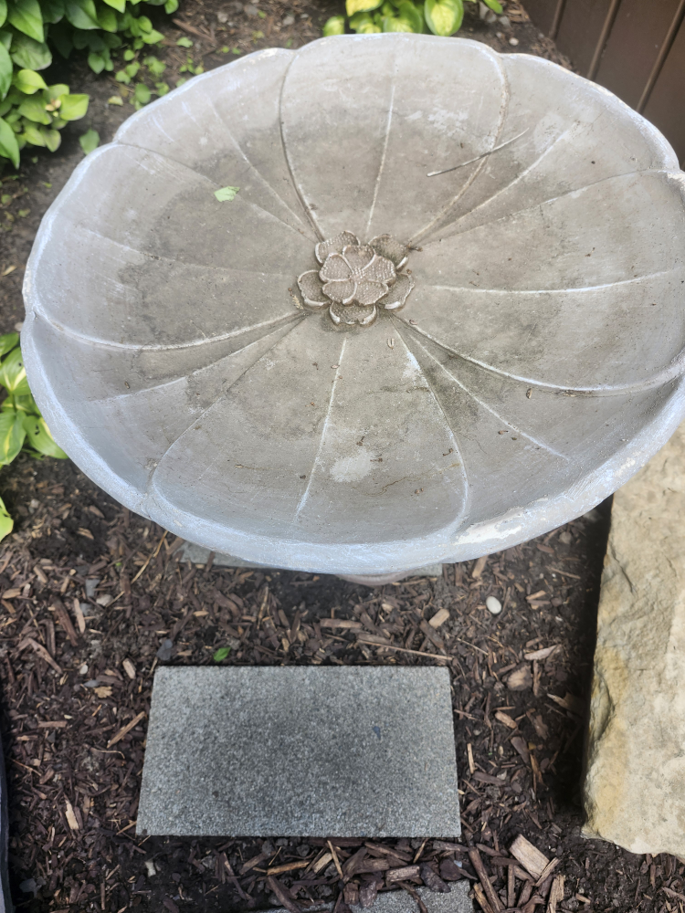 Like New Bird Bath - photo 4