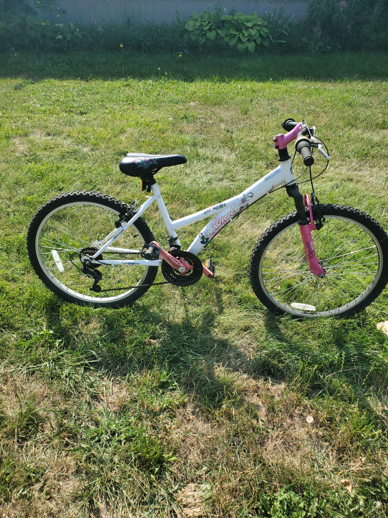 21 speed bike