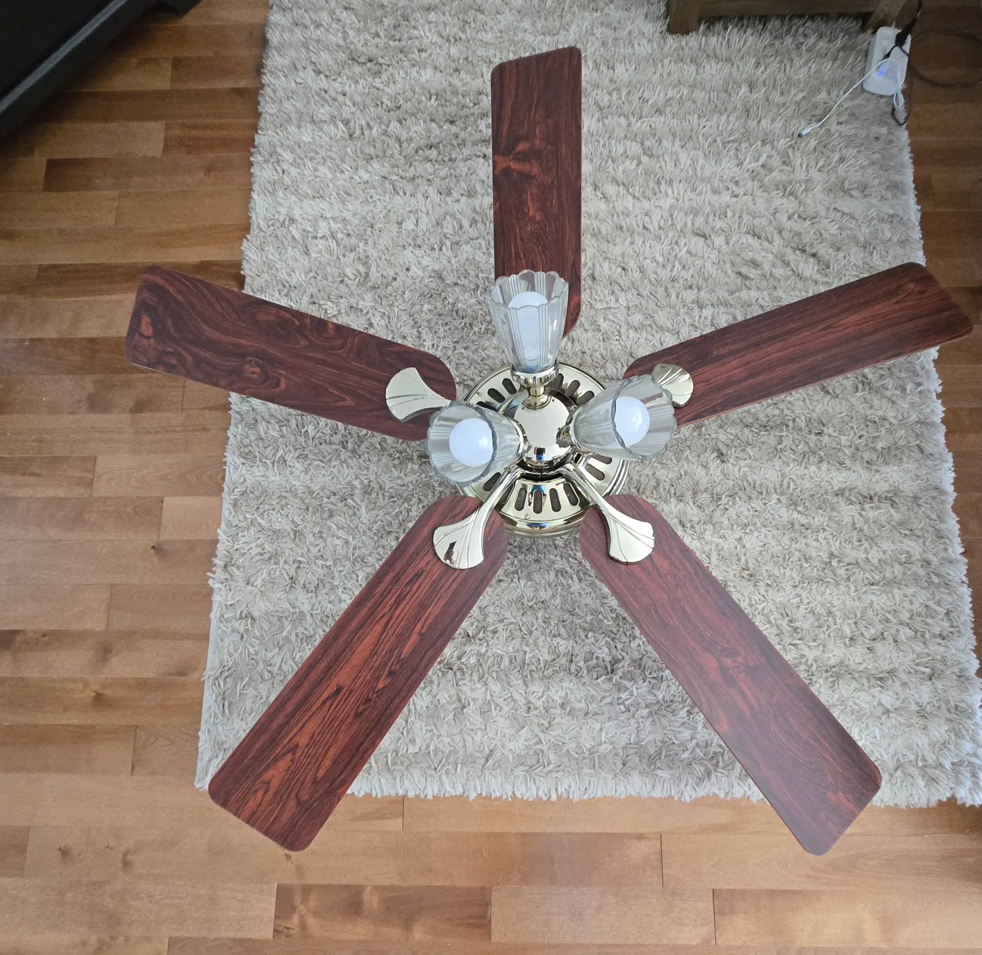 Ceiling Fan with Light Fixture