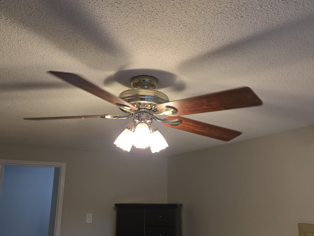 Ceiling Fan with Light Fixture - photo 3