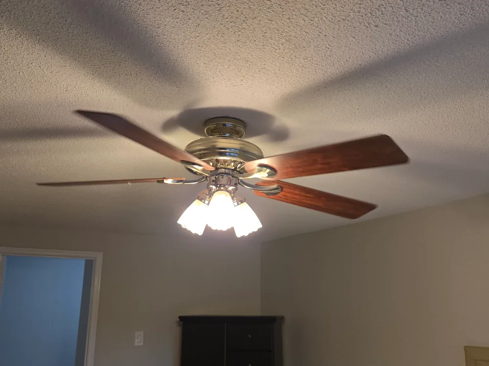 Ceiling Fan with Light Fixture image indicator(3)