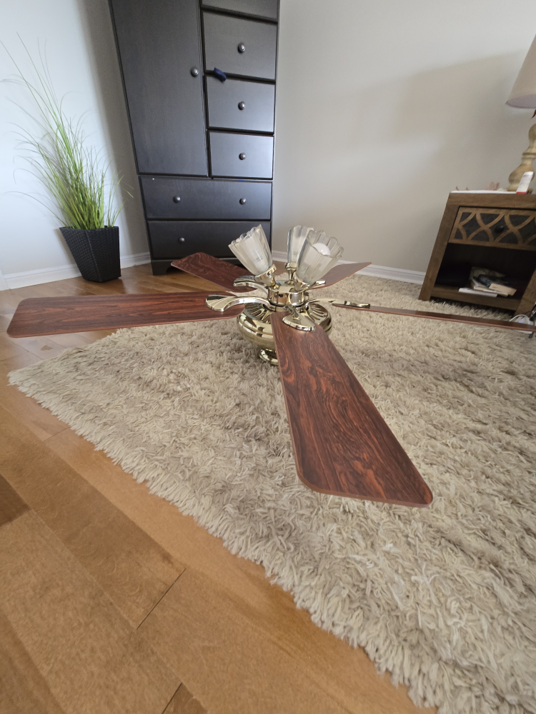 Ceiling Fan with Light Fixture - photo 5