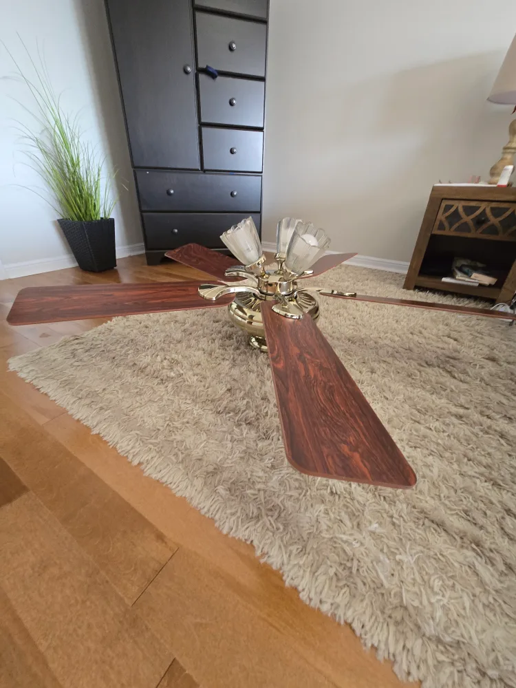 Ceiling Fan with Light Fixture image indicator(5)